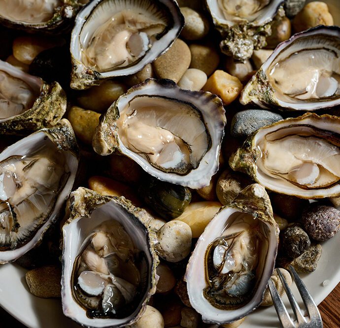 Bottomless Oysters